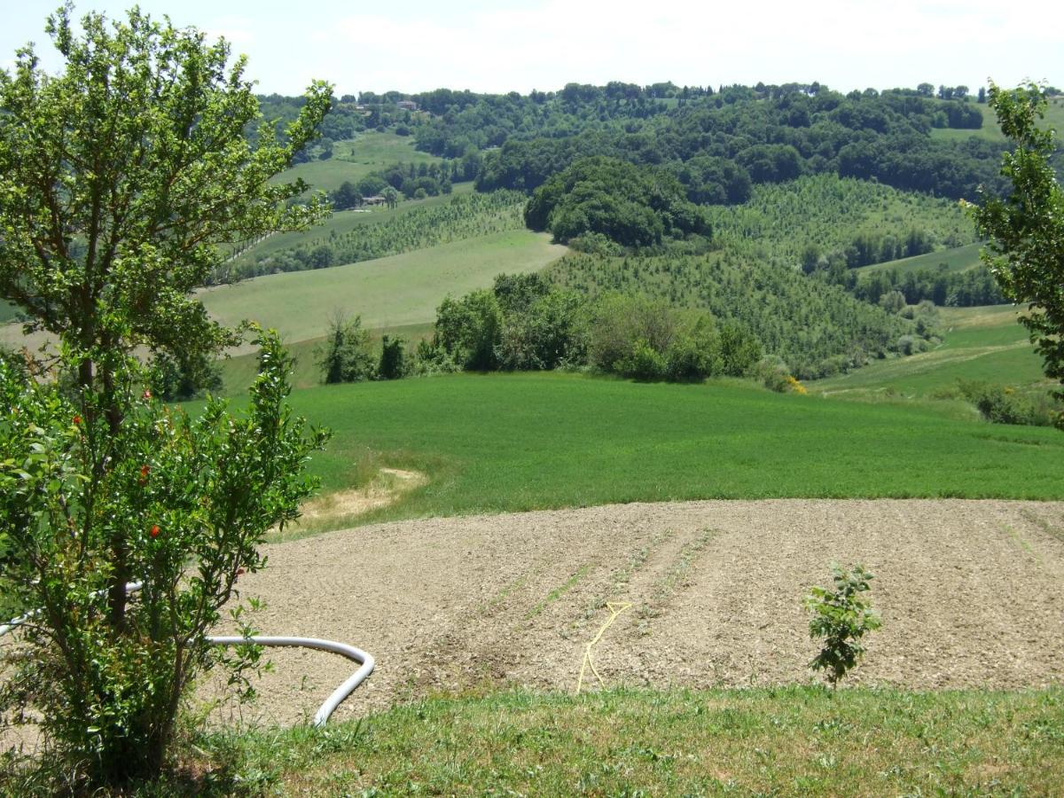 Predio Potantino Villa Proceno Екстериор снимка
